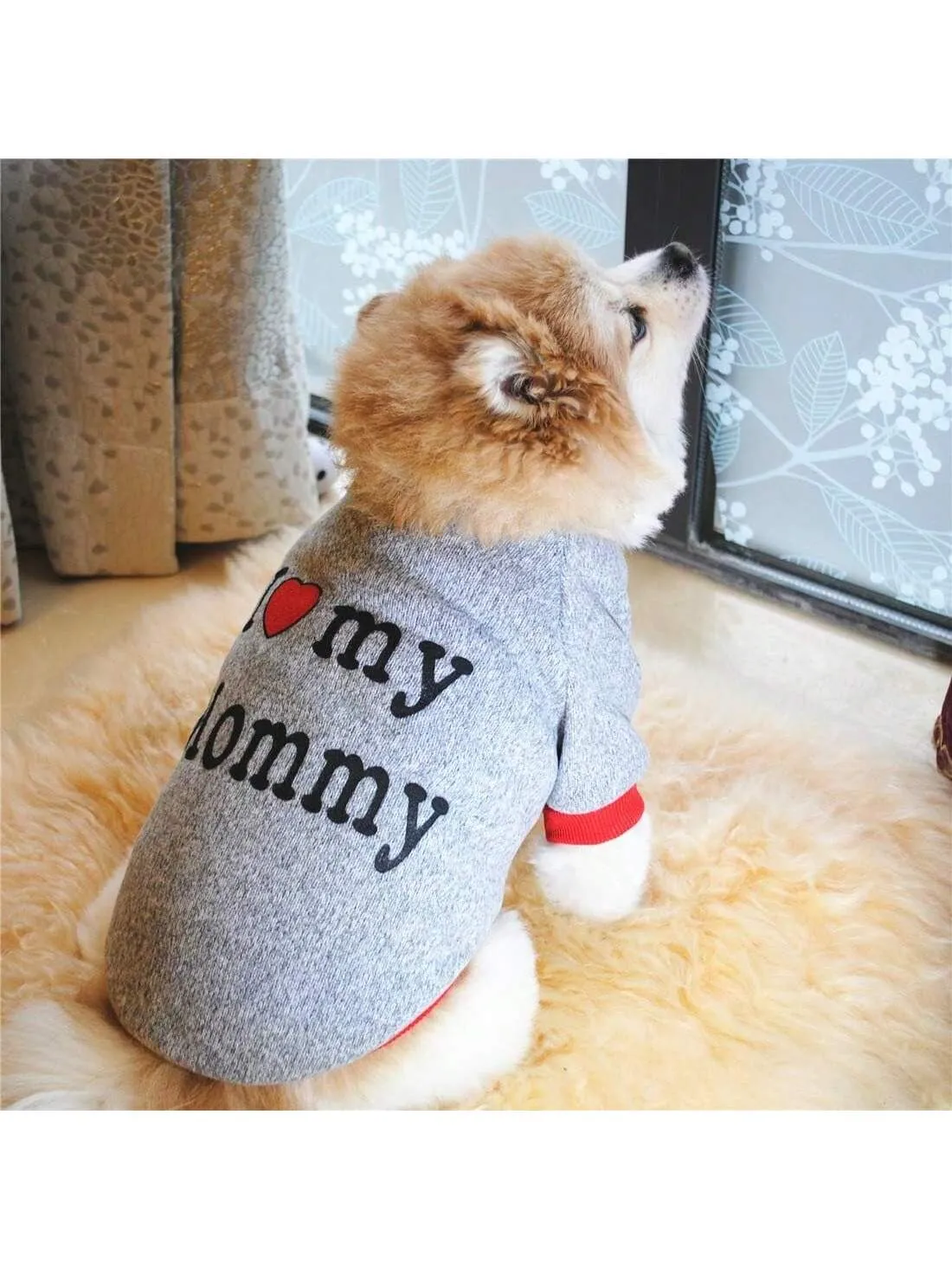 1pc Pet Fleece Pullover, Thickened Winter Clothes, Suitable For Small Cats & Dogs, For Spring, Autumn & Winter Seasons (Grey)